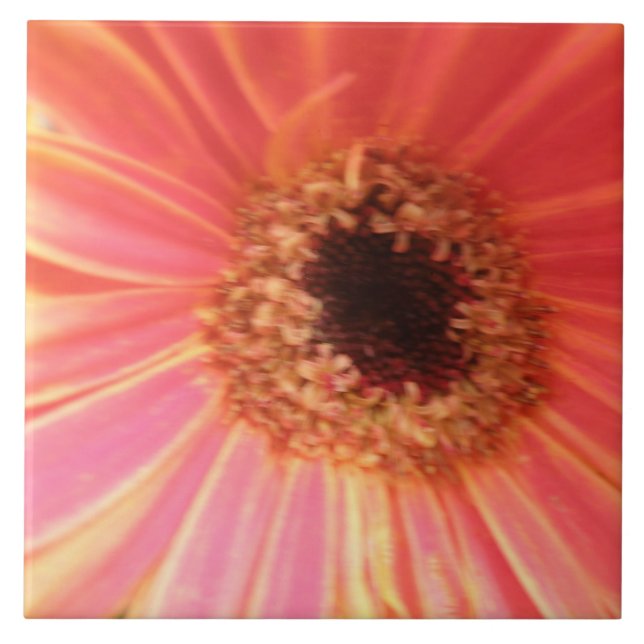 Gerbera Daisy Flower Tile (Front)