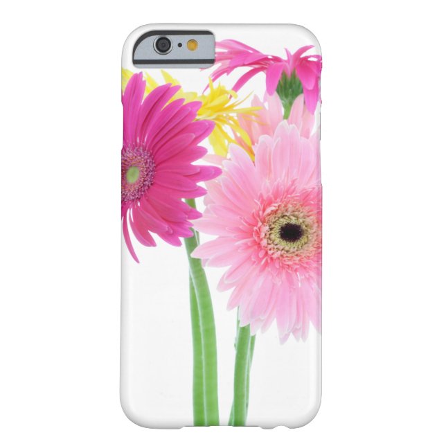 Gerbera Daisy Flowers Case-Mate iPhone Case (Back)