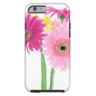 Gerbera Daisy Flowers