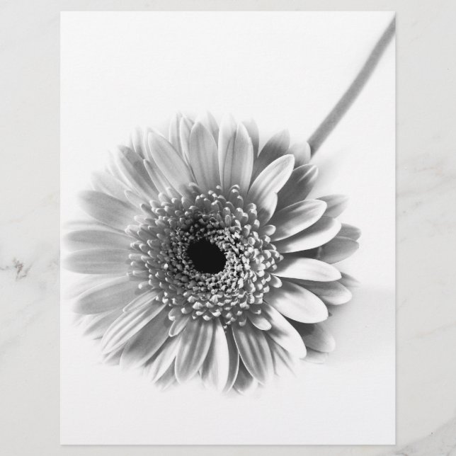 Gerbera Daisy Flyer (Front)
