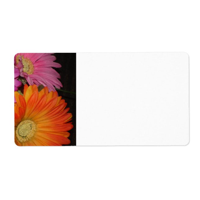 Gerbera Daisy Garden (Front)