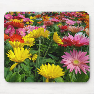 Gerbera Daisy Garden Mouse Mat