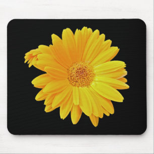 Gerbera Daisy (Gerbera hybrida) - Yellow Mouse Mat