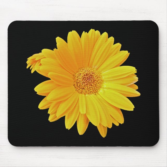Gerbera Daisy (Gerbera hybrida) - Yellow Mouse Mat (Front)