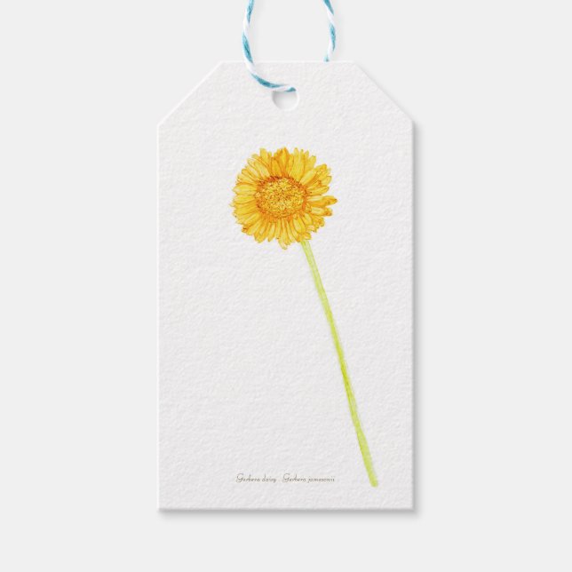 Gerbera daisy  gift tags (Front)