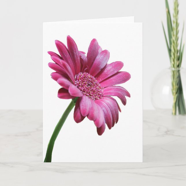Gerbera Daisy Greeting Card (Front)