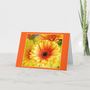 Gerbera Daisy Greeting Card