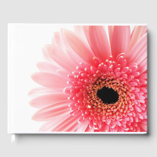 Gerbera Daisy   Guest Book