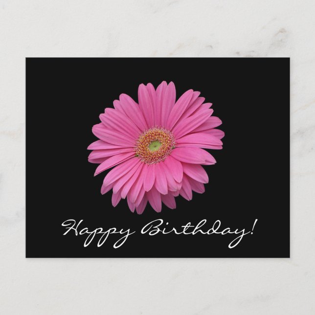 Gerbera Daisy Happy Birthday Postcard (Front)