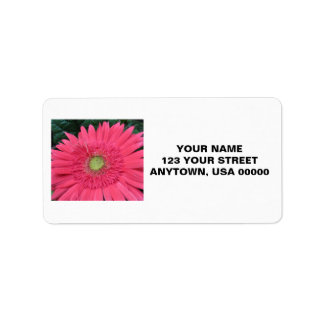 Gerbera Daisy Label