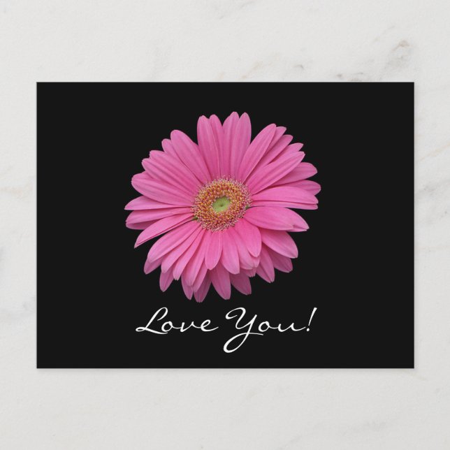 Gerbera Daisy Love You Postcard (Front)