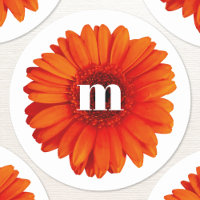 Gerbera Daisy Monogram Initial