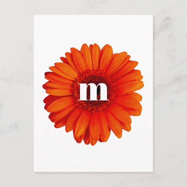 Gerbera Daisy Monogram Initial Postcard (Front)