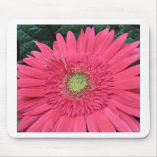 Gerbera Daisy Mouse Mat