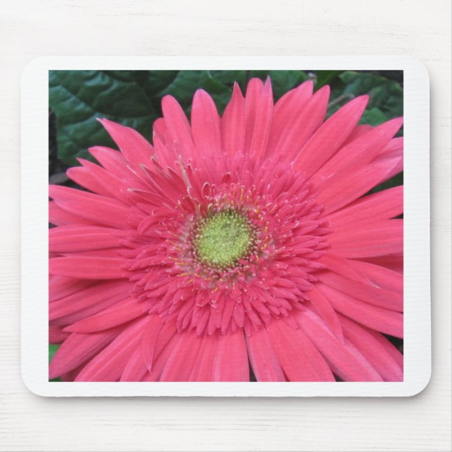 Gerbera Daisy Mouse Mat (Front)