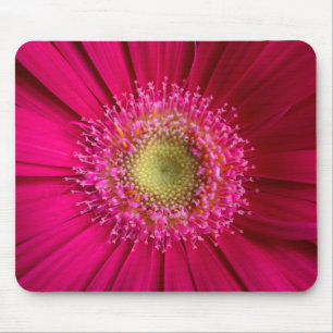 Gerbera Daisy Mouse Pad