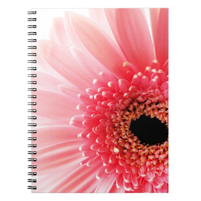 Gerbera daisy notebook (Front)