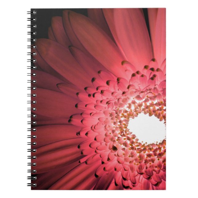 Gerbera Daisy Notebook (Front)