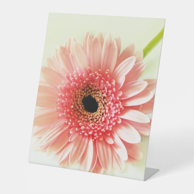 Gerbera Daisy Pedestal Sign (Front)