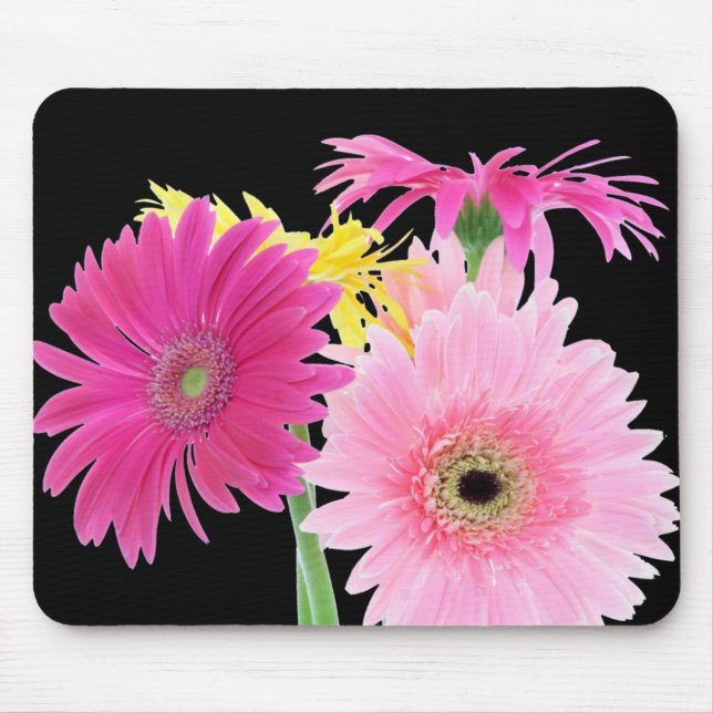Gerbera Daisy Piink Flowers Mouse Mat (Front)