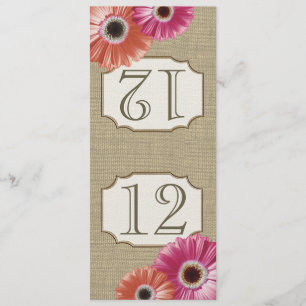 Gerbera Daisy Pink and Coral Table Number