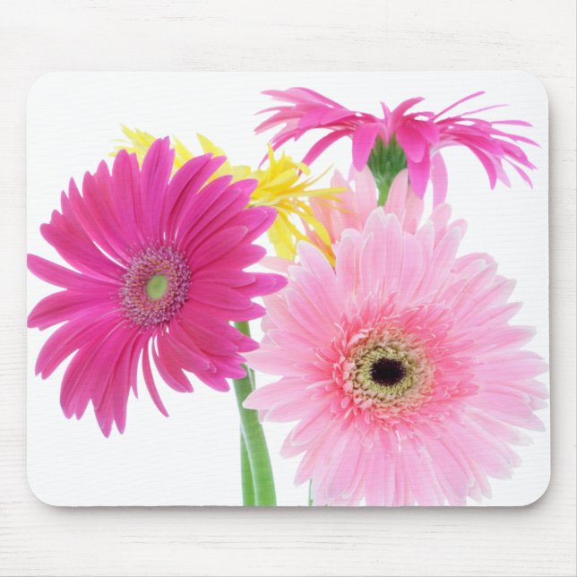 Gerbera Daisy Pink Flowers Mouse Mat (Front)