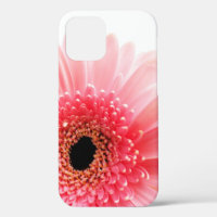 Gerbera Daisy Poster