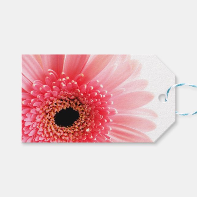 Gerbera Daisy Poster Gift Tags (Front (Horizontal))