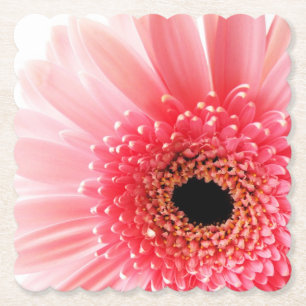 Gerbera Daisy Poster Paper Coaster
