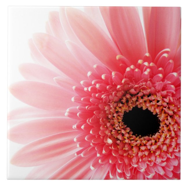 Gerbera Daisy Poster Tile (Front)
