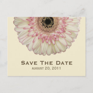 Gerbera Daisy Save The Date Postcard