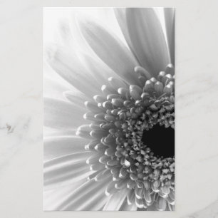 Gerbera Daisy Stationery