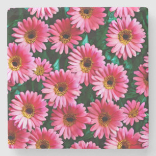 Gerbera Daisy Stone Coaster
