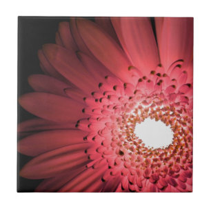 Gerbera Daisy Tile