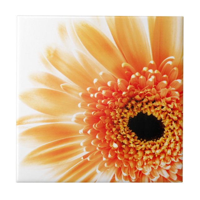 Gerbera Daisy Tile (Front)