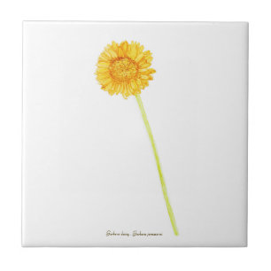 Gerbera daisy tile