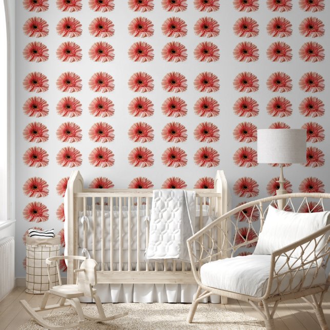 Gerbera Daisy Wallpaper (Kids)