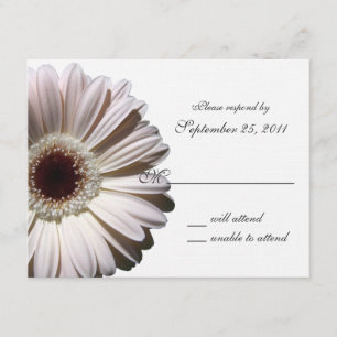 Gerbera Daisy Wedding/ Response