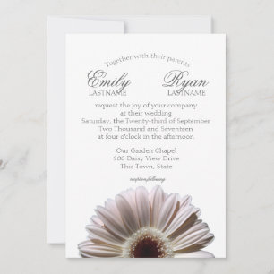 Gerbera Daisy White Blush Invitation