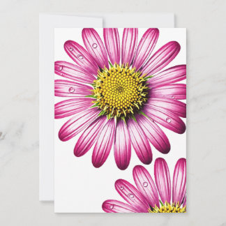 gerbera flowers invitation