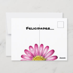 gerbera flowers postcard