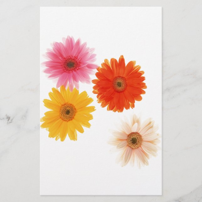 Gerbera Flowers Print Floating Flower Daisy Floral (Front)