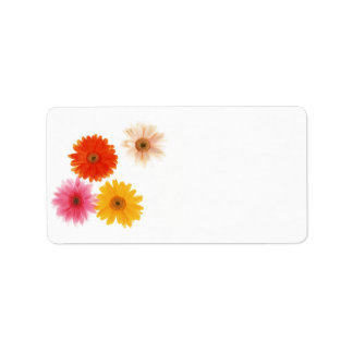 Gerbera Flowers Print Floating Flower Daisy Floral Label