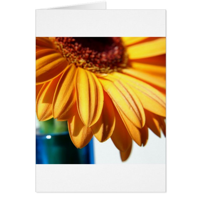 Gerbera in Blue Vase (Front)