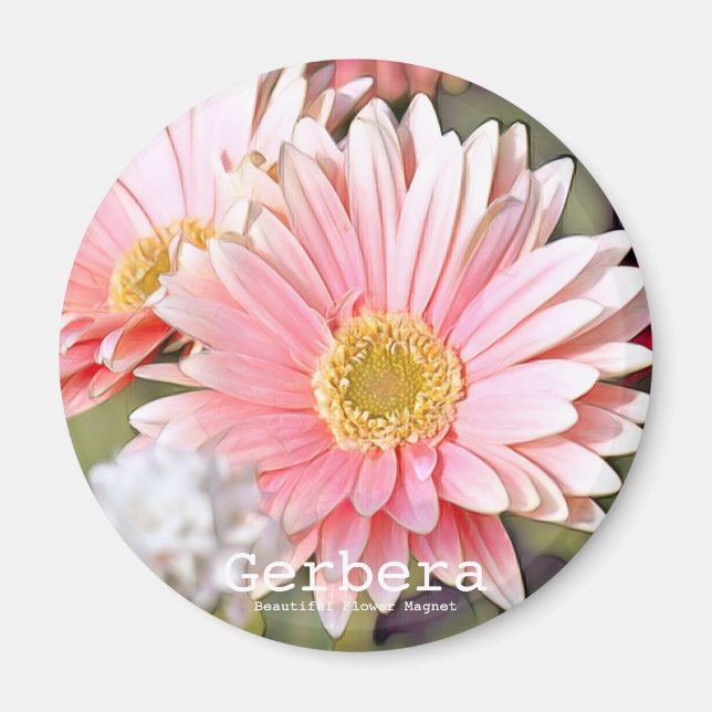 Gerbera Magnet (Front)
