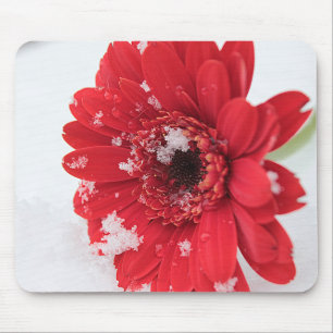 Gerbera Mouse Mat