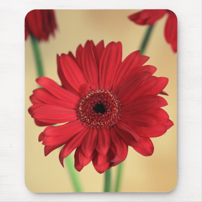 Gerbera Mouse Mat (Front)