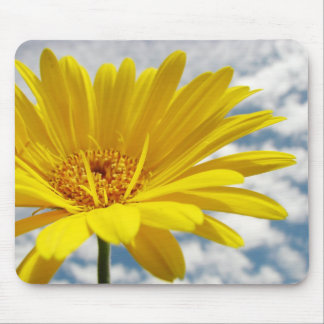 Gerbera Mouse Mat