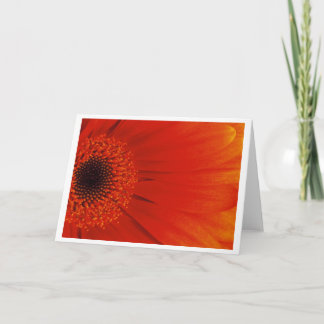 Gerbera - Orange Card