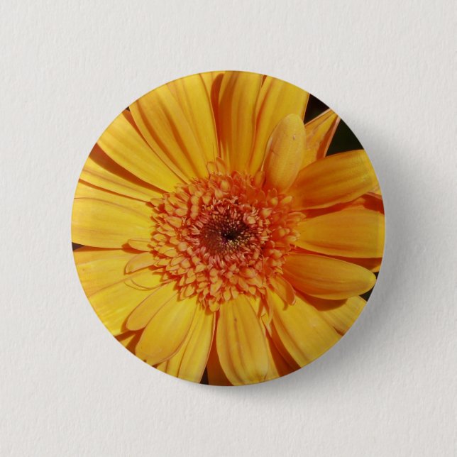 Gerbera Pin - Button. (Front)